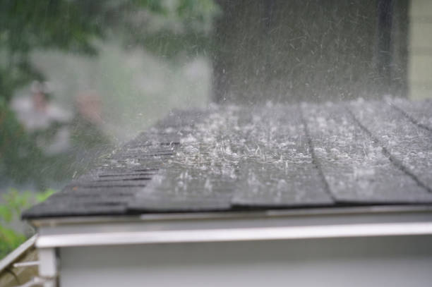 Best Cold Roofs  in Zephyrhills, FL